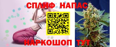 прущие грибы Краснокаменск
