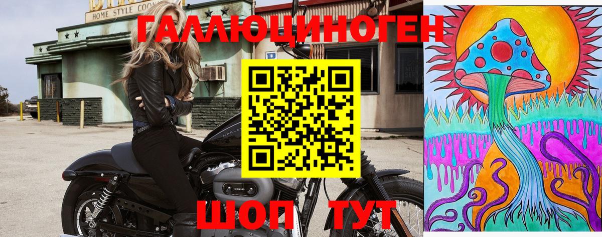 Псилоцибиновые грибы прущие грибы  Вход с VPN  Железногорск 