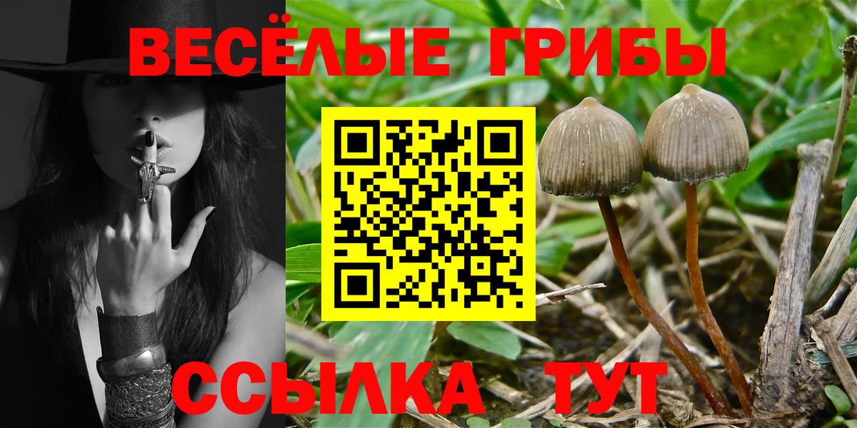 Галлюциногенные грибы MAGIC MUSHROOMS Железногорск